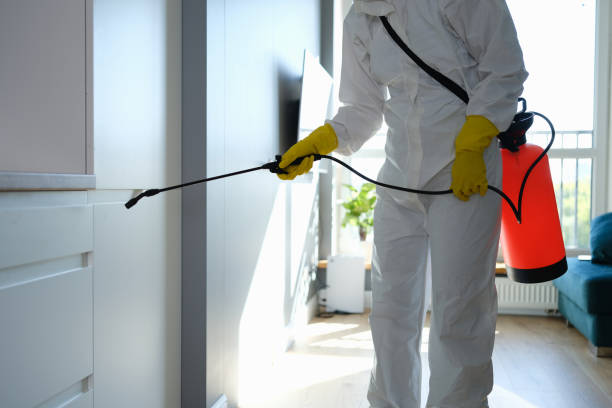 Best DIY Mold Remediation Support Services in Caledonia, MI