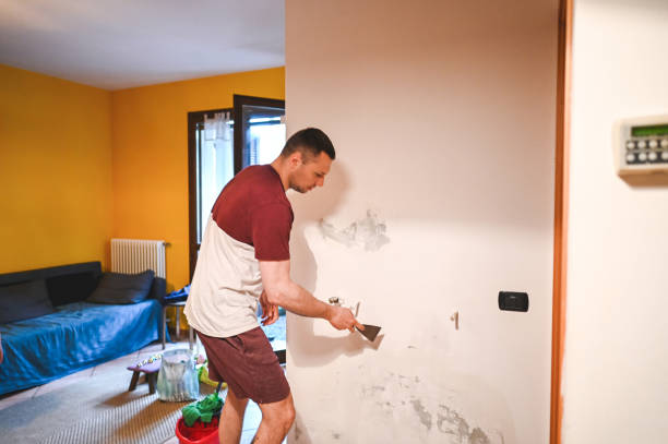 Best Insurance-Related Mold Remediation in Caledonia, MI